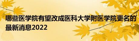 哪些医学院有望改成医科大学附医学院更名的最新消息2022