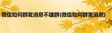 微信如何群发消息不建群(微信如何群发消息)