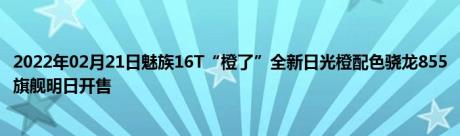 2022年02月21日魅族16T“橙了”全新日光橙配色骁龙855旗舰明日开售