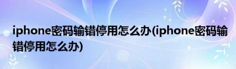 iphone密码输错停用怎么办(iphone密码输错停用怎么办)