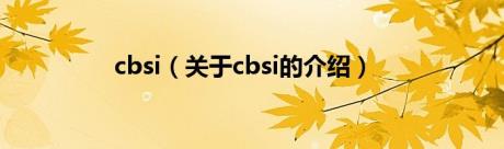 cbsi（关于cbsi的介绍）