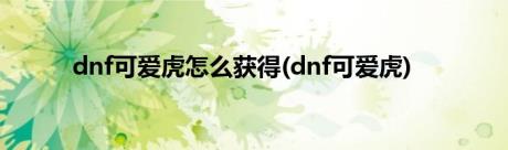 dnf可爱虎怎么获得(dnf可爱虎)