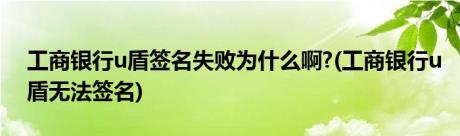 工商银行u盾签名失败为什么啊?(工商银行u盾无法签名)