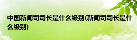 中国新闻司司长是什么级别(新闻司司长是什么级别)