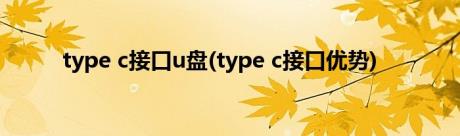 type c接口u盘(type c接口优势)