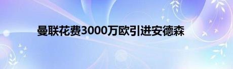 曼联花费3000万欧引进安德森