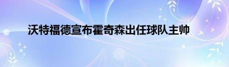 沃特福德宣布霍奇森出任球队主帅