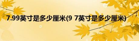 7.99英寸是多少厘米(9 7英寸是多少厘米)