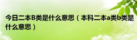 今日二本B类是什么意思（本科二本a类b类是什么意思）