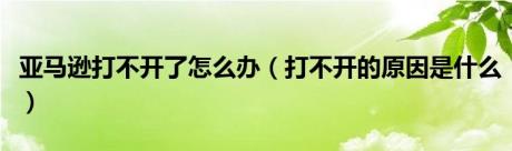 亚马逊打不开了怎么办（打不开的原因是什么）