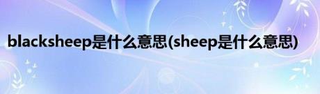 blacksheep是什么意思(sheep是什么意思)