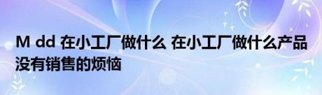 M dd 在小工厂做什么 在小工厂做什么产品 没有销售的烦恼