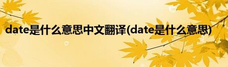 date是什么意思中文翻译(date是什么意思)