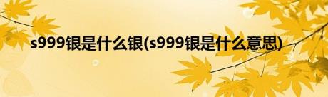 s999银是什么银(s999银是什么意思)