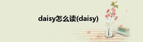 daisy怎么读(daisy)