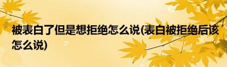 被表白了但是想拒绝怎么说(表白被拒绝后该怎么说)