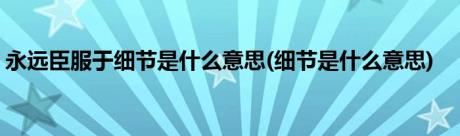 永远臣服于细节是什么意思(细节是什么意思)