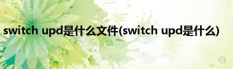 switch upd是什么文件(switch upd是什么)