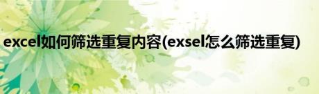 excel如何筛选重复内容(exsel怎么筛选重复)