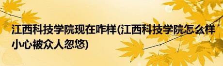 江西科技学院现在咋样(江西科技学院怎么样小心被众人忽悠)