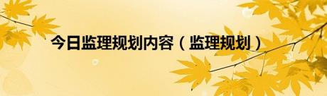 今日监理规划内容（监理规划）