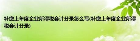 补缴上年度企业所得税会计分录怎么写(补缴上年度企业所得税会计分录)