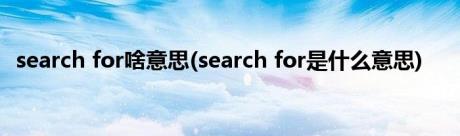 search for啥意思(search for是什么意思)
