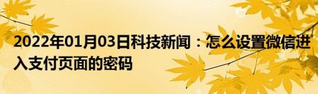 2022年01月03日科技新闻：怎么设置微信进入支付页面的密码