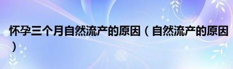 怀孕三个月自然流产的原因（自然流产的原因）