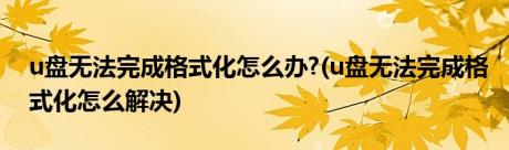 u盘无法完成格式化怎么办?(u盘无法完成格式化怎么解决)