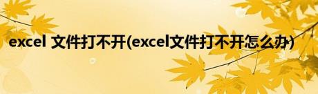 excel 文件打不开(excel文件打不开怎么办)