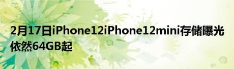 2月17日iPhone12iPhone12mini存储曝光 依然64GB起