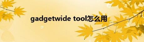 gadgetwide tool怎么用