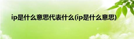 ip是什么意思代表什么(ip是什么意思)