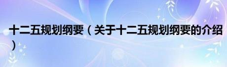 十二五规划纲要（关于十二五规划纲要的介绍）