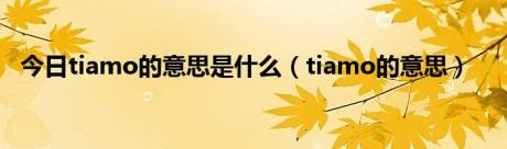 今日tiamo的意思是什么（tiamo的意思）