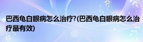 巴西龟白眼病怎么治疗?(巴西龟白眼病怎么治疗最有效)