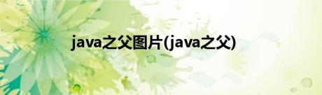 java之父图片(java之父)