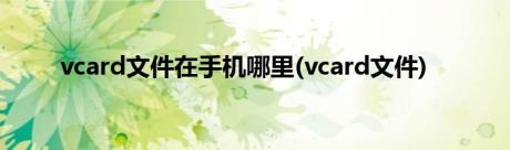 vcard文件在手机哪里(vcard文件)