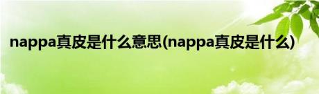 nappa真皮是什么意思(nappa真皮是什么)