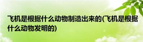 飞机是根据什么动物制造出来的(飞机是根据什么动物发明的)