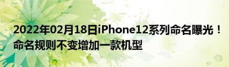2022年02月18日iPhone12系列命名曝光！命名规则不变增加一款机型