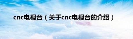 cnc电视台（关于cnc电视台的介绍）