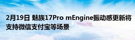2月19日 魅族17Pro mEngine振动感更新将支持微信支付宝等场景