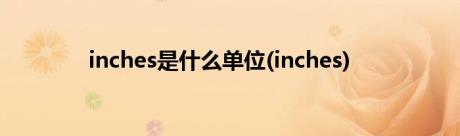 inches是什么单位(inches)