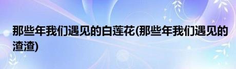 那些年我们遇见的白莲花(那些年我们遇见的渣渣)