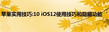 苹果实用技巧:10 iOS12使用技巧和隐藏功能