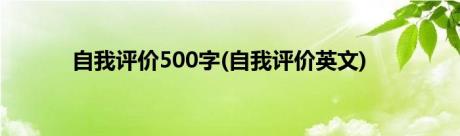 自我评价500字(自我评价英文)