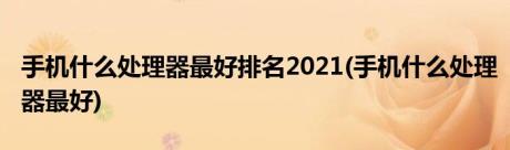 手机什么处理器最好排名2021(手机什么处理器最好)