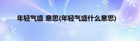 年轻气盛 意思(年轻气盛什么意思)